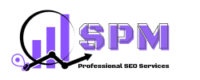 Professional SEO Services SPM